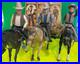 BONANZA All (3) Figures BEN, HOSS & JOE with BOXES and HORSES American Character