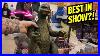 Hidden Grails April Fools Toy Show 2026 Delivered