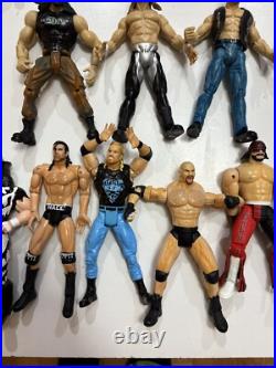 Huge Lot Of WWF, WWE, And WCW Vintage Figure Collection (50+ With Accessories!)