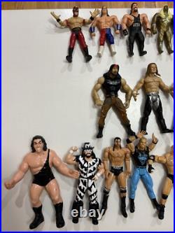 Huge Lot Of WWF, WWE, And WCW Vintage Figure Collection (50+ With Accessories!)
