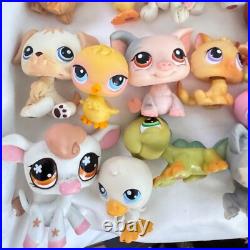 Littlest Pet Shop LPS 35 Figures Lot and Accessories Authentic Hasbro Vintage