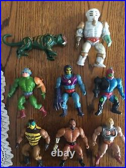 MOTU Masters of the Universe He-man vintage LOT action figures with Skeletor