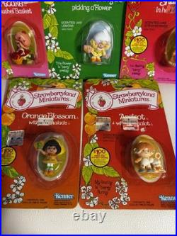 Set of 5 mini-figures Strawberries lemon, apricot, strawberry, orange VTG 1982