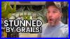 Toy Grails And Kenner Legends My Latest Vintage Toy Hunting Adventure