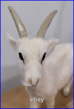 Vintage Goat White Real Fur Toy Figure