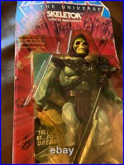 Vintage MOTU Skeletor Original Heman Action Figure Toy 1982 12- Back